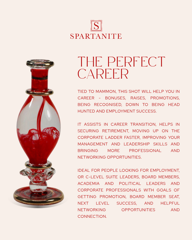 The Perfect Career
