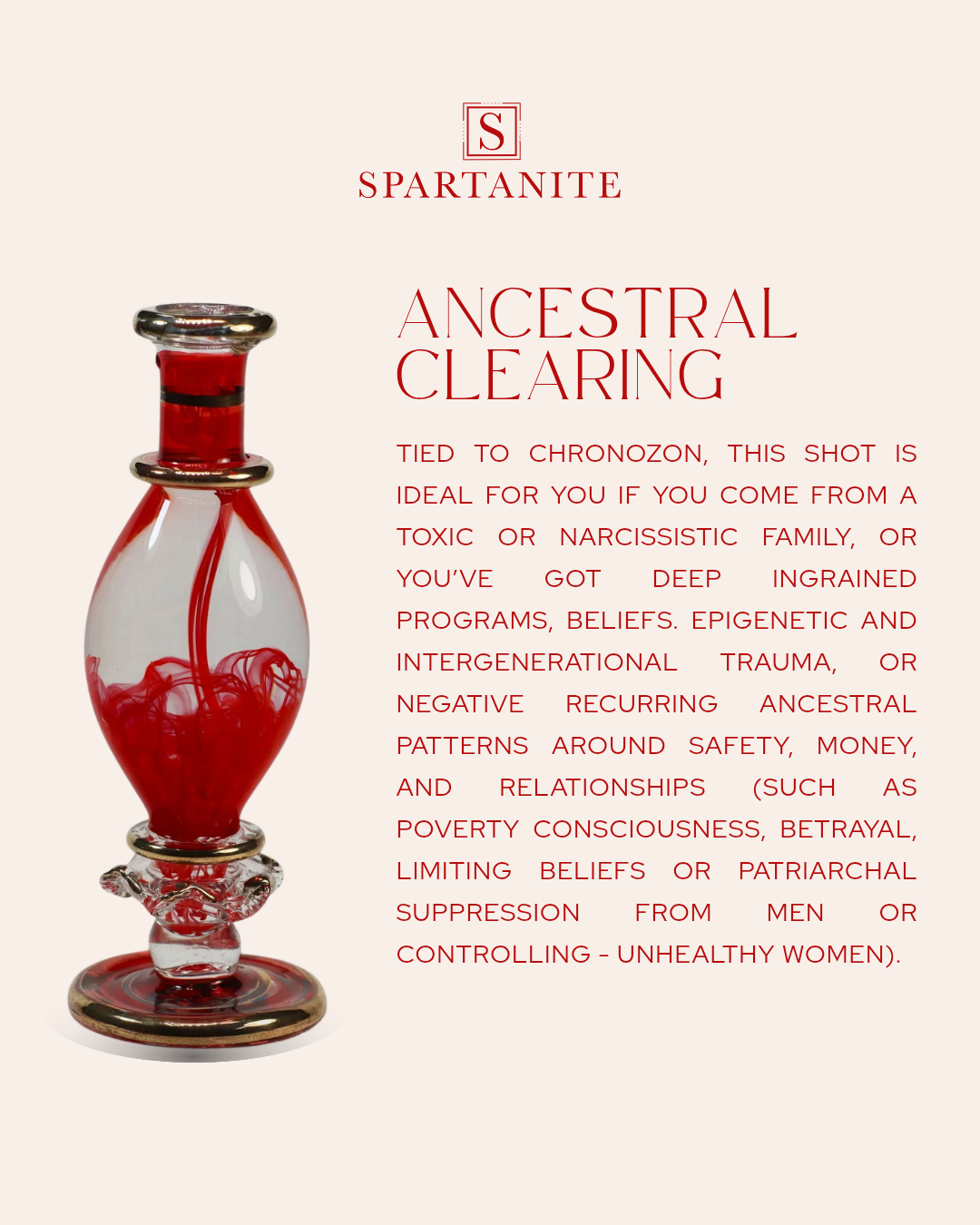Spartanite carousels_20260218_171825_0021