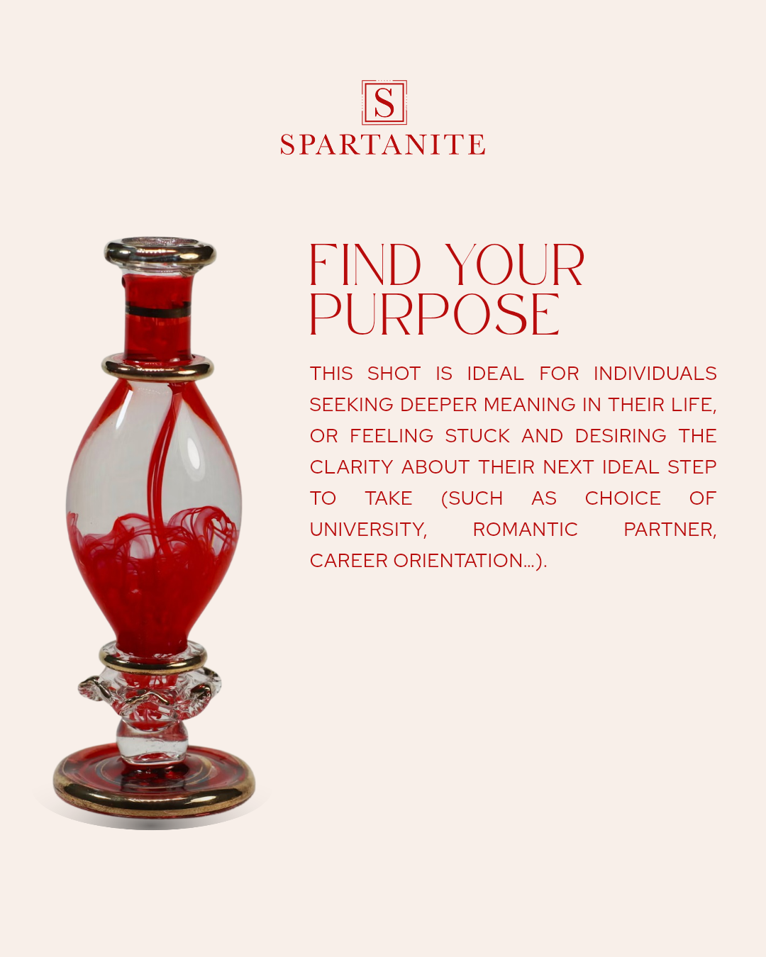 Spartanite carousels_20260218_171825_0023_40a98062 310f 46df a9b7 074ef23f2ff8