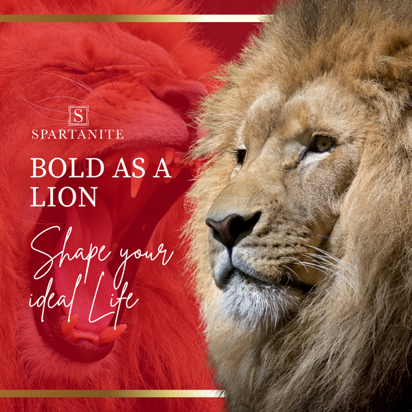 BOLD AS A LION - SHAPE YOUR IDEAL LIFE